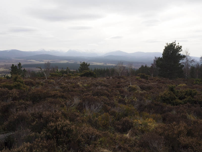 Towards the Cairngorms