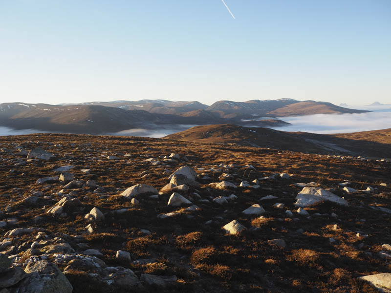 Carn Ban, Meall nam Fuaran and Carn Alladale