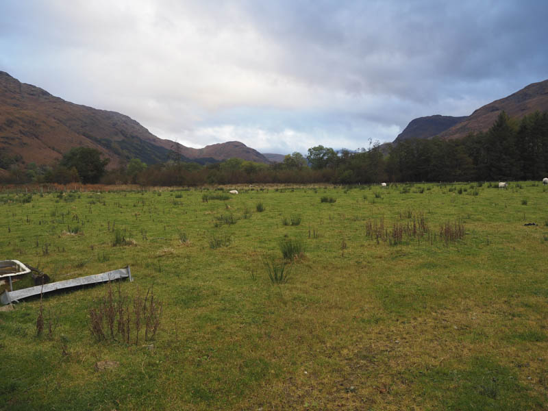 Glen Fyne and Newton Hill