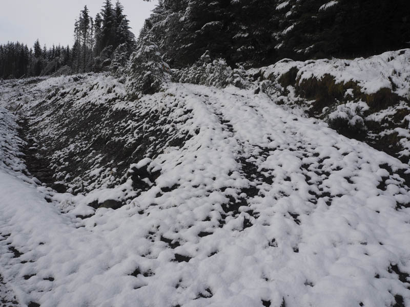 Track through firebreak