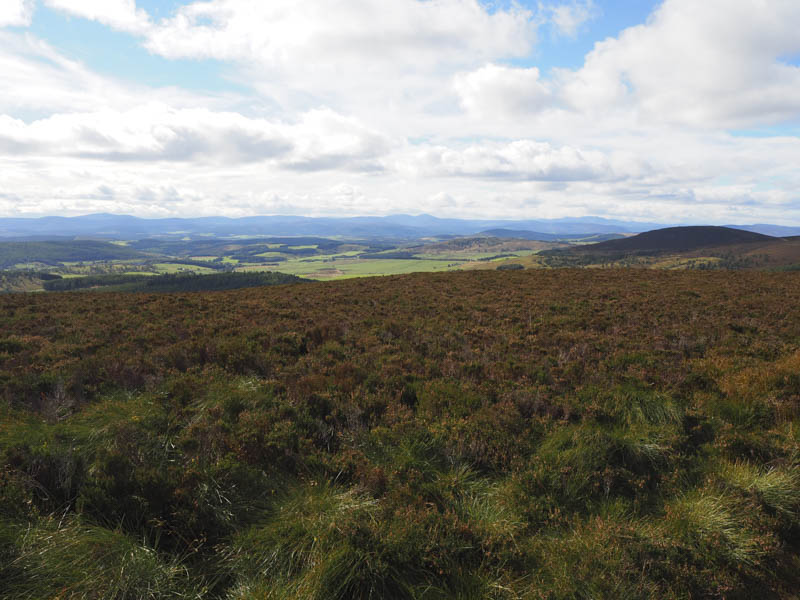 Towards Mount Keen