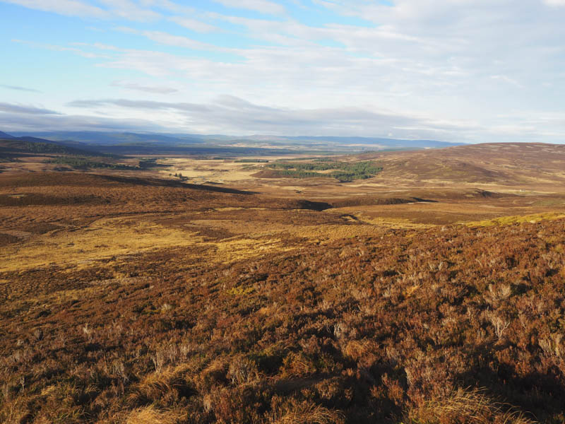 Braes of Abernethy and the start