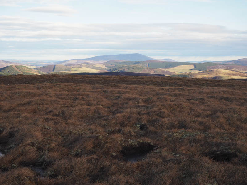 Ben Rinnes in the distance