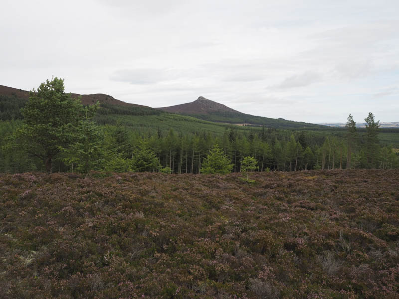 Mither Tap, Bennachie