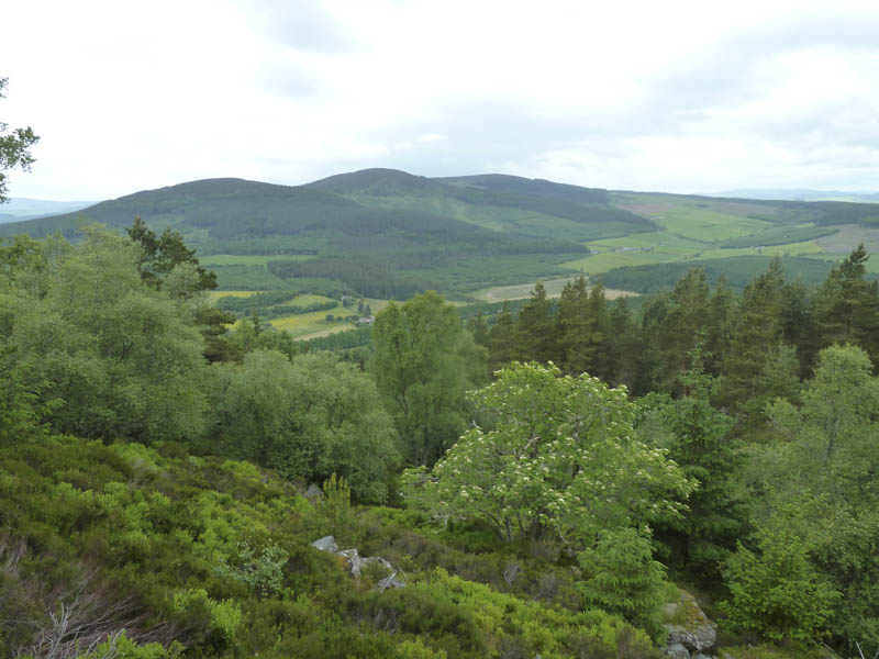 Pitfichie Hill and Cairn William