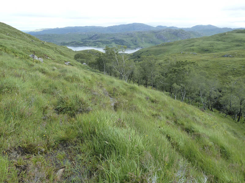 View back down glen to Loch Ailort. Ardnish beyond