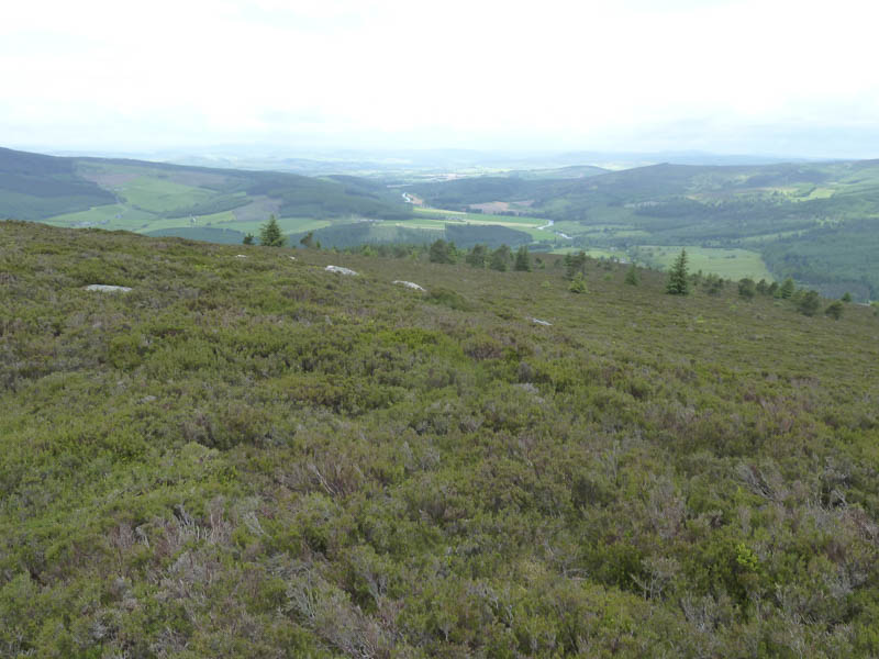 River Don and towards Keig