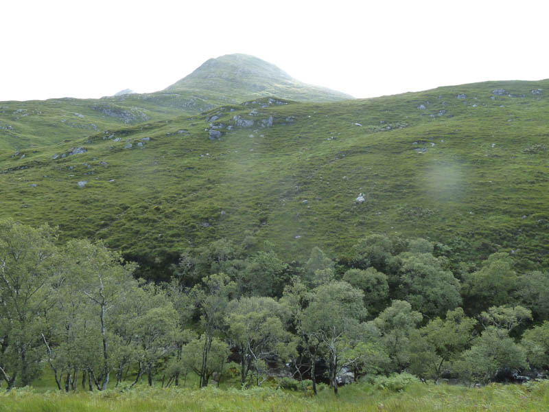 Rois-Bheinn West Top