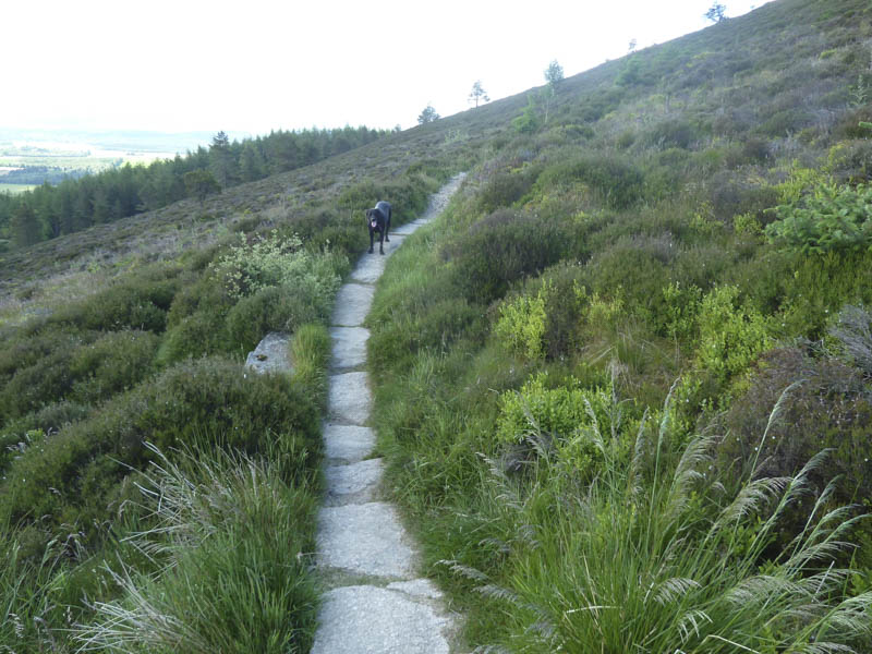 Path to Cairn William