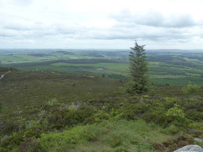 Looking towards Inverurie