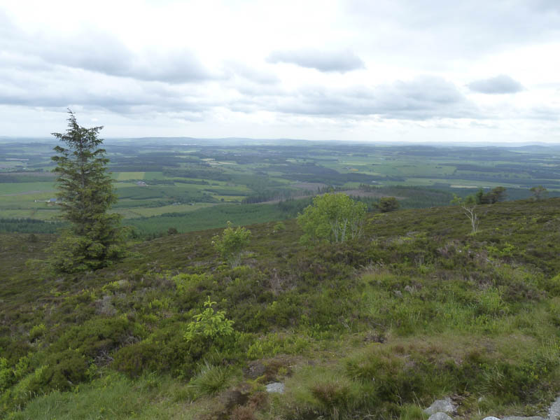 Looking towards Kemnay