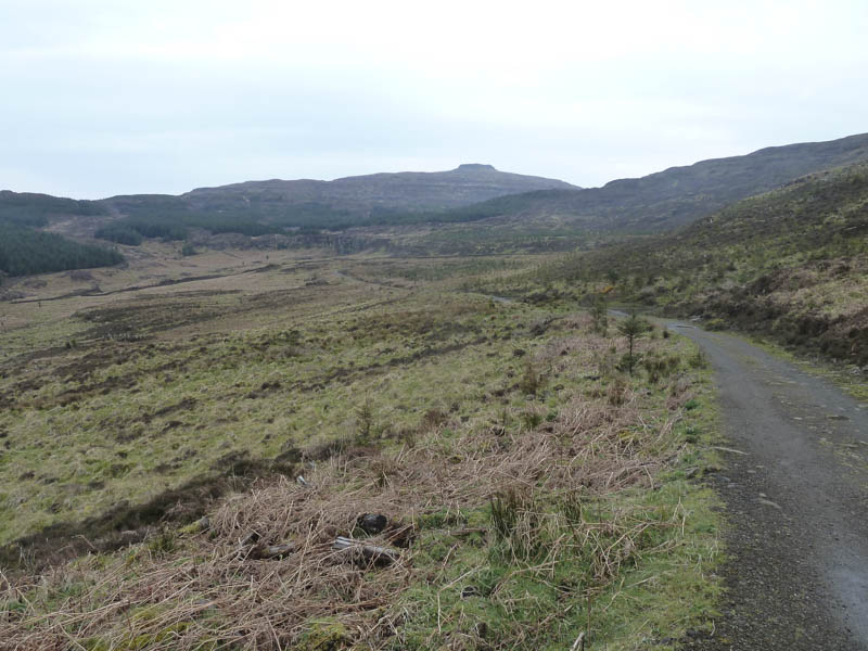 Route through forest. Beinn na Boineid in the distance