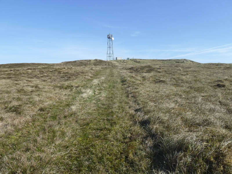 Approaching summit of Ben Geary