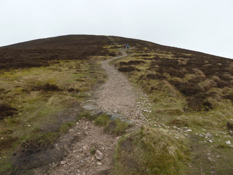 Path to Scald Law