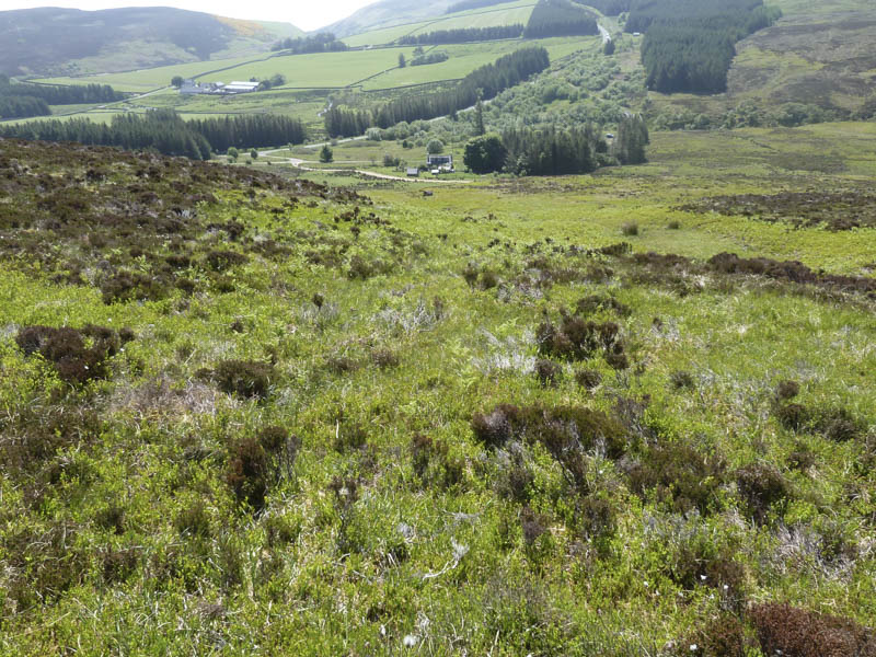 View back to Ousdale and the start