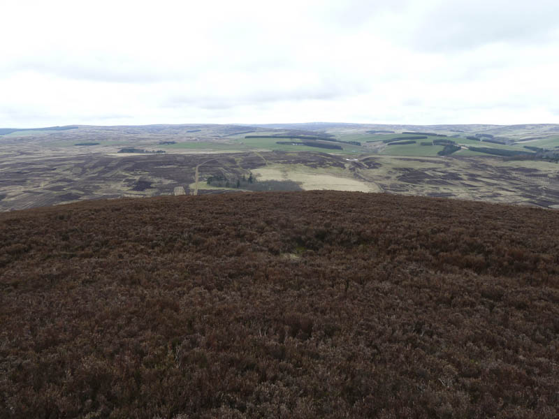 North from Dirrington Great Law