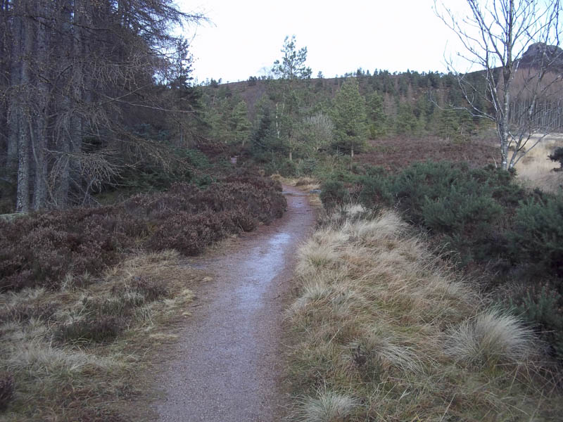 Path towards Mither Tap
