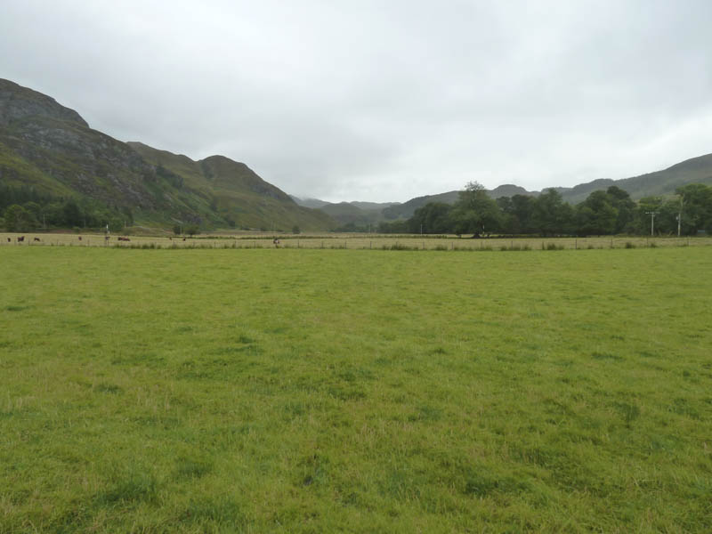 View up the glen