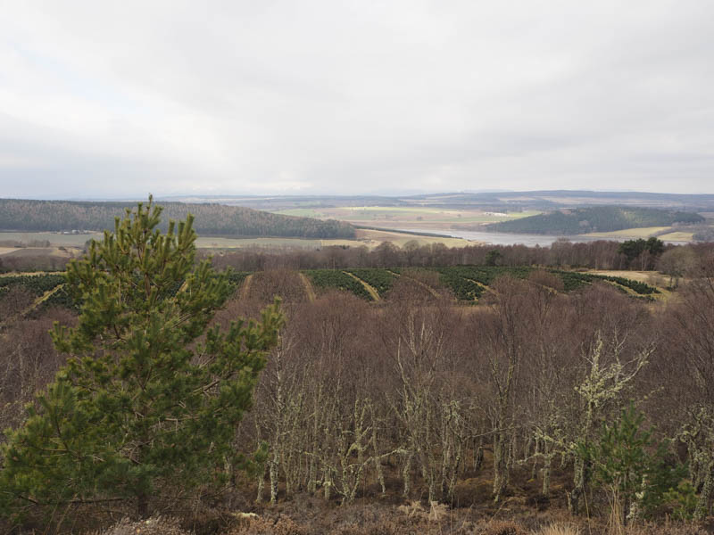 Munlochy Bay