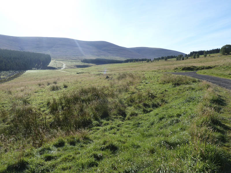 Track towards forest. Creagan a' Chaise beyond