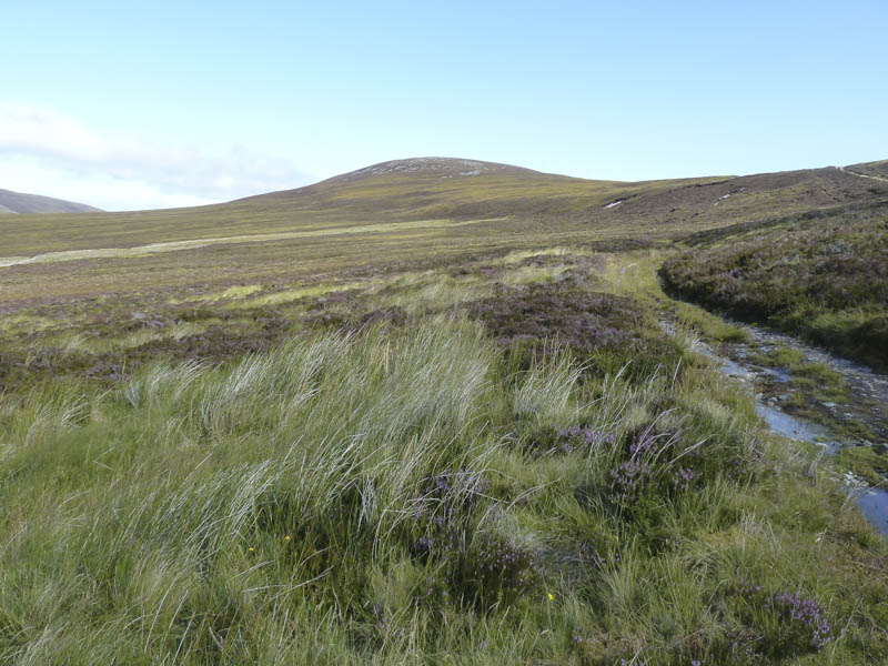 Cook's Cairn