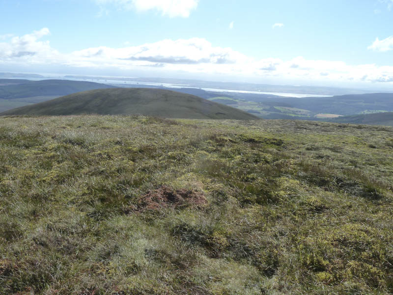 Cromarty Firth beyond Torr Leathann