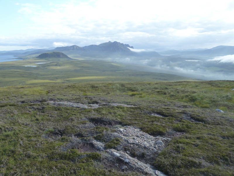 Ben Loyal