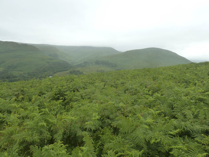 Glen Luss