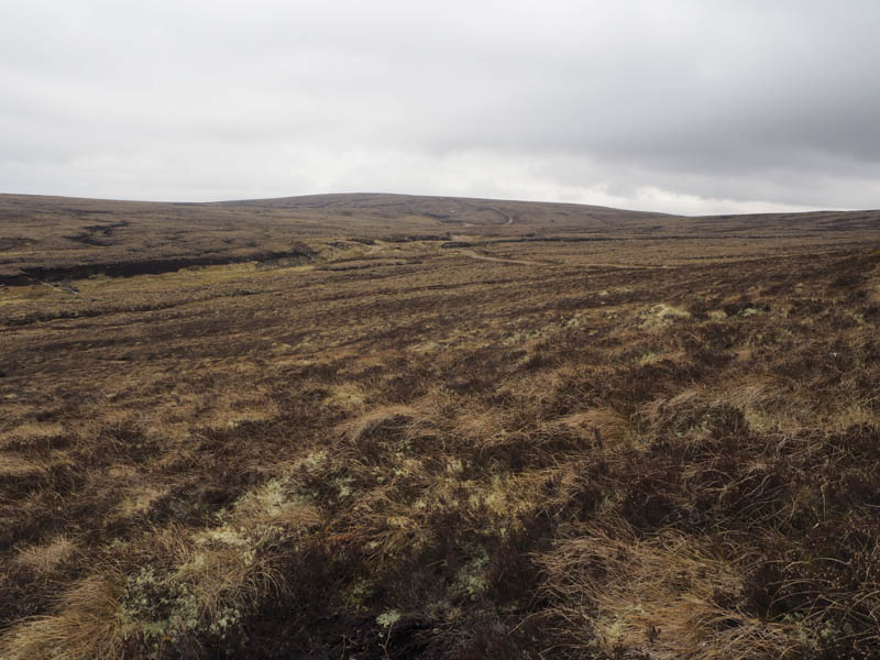 Aonach Odhar