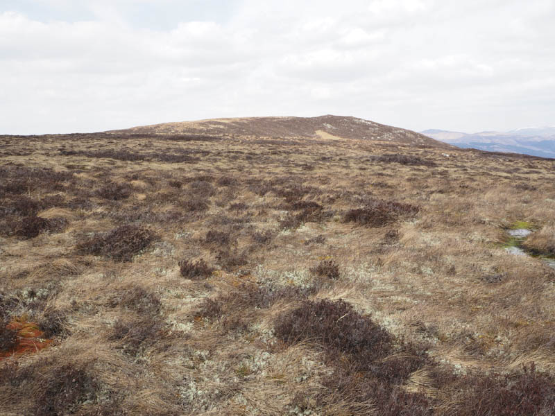 Summit-area-Carn-na-h-Iolaire