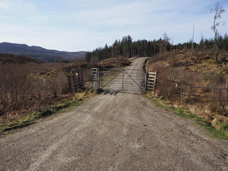 Start of walk, Glen Affric, Kintail Way