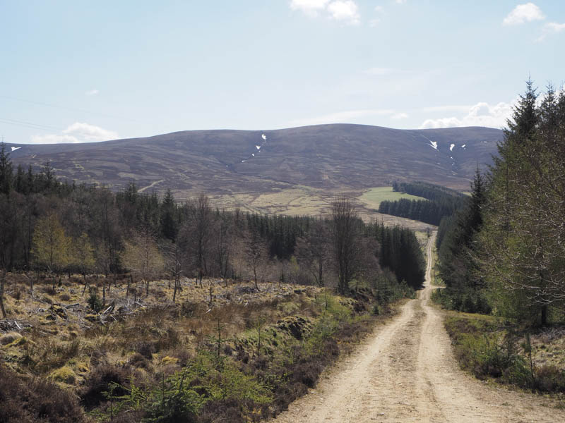 Return down track. Creagan a' Chaise beyond