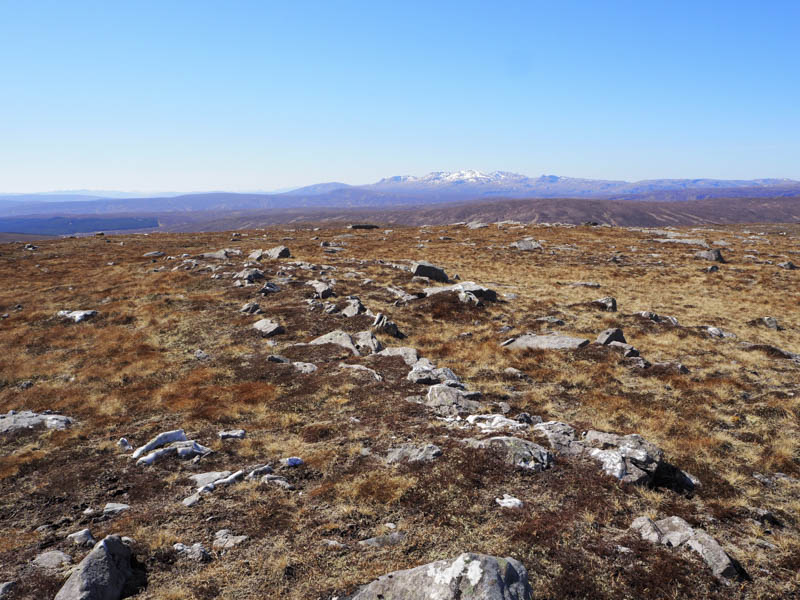 Cnoc Maol na Cloiche Gile. Ben More Assynt and Conival beyond