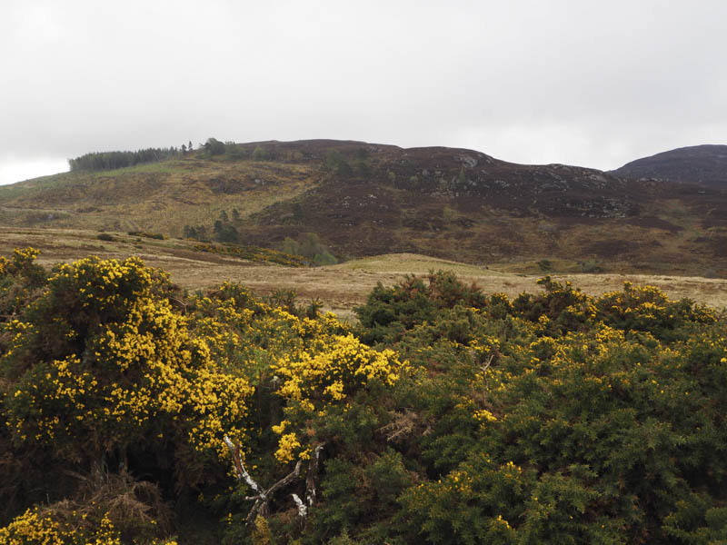 Cnoc na Gaoithe