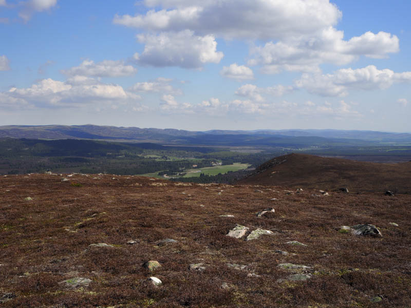 River Dulnain and towards Carrbridge