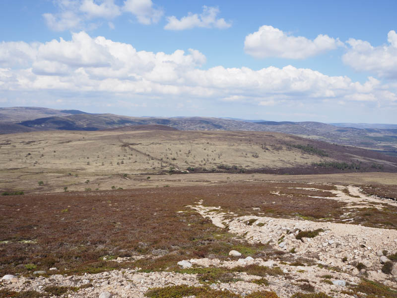 Garbh-mheall Mor and Carn nan Grainnseag