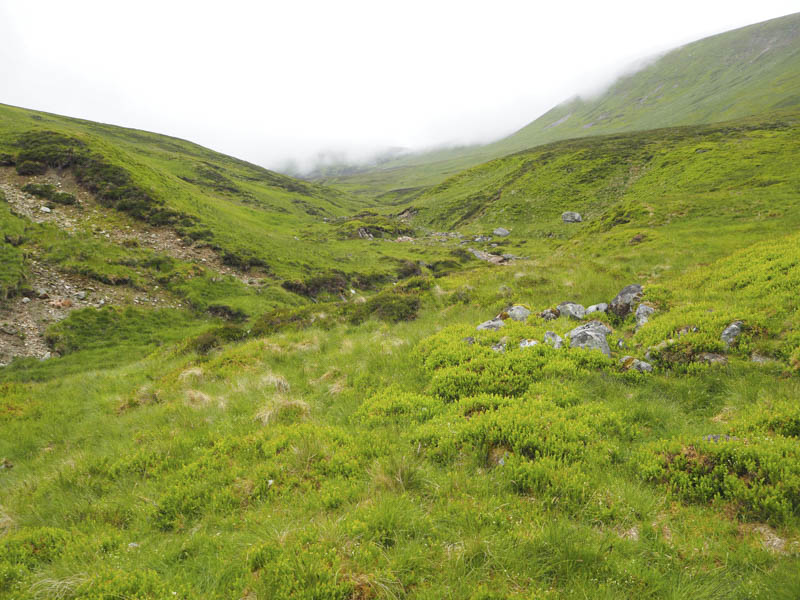 Route up side of the Allt Coire a' Bhathaich
