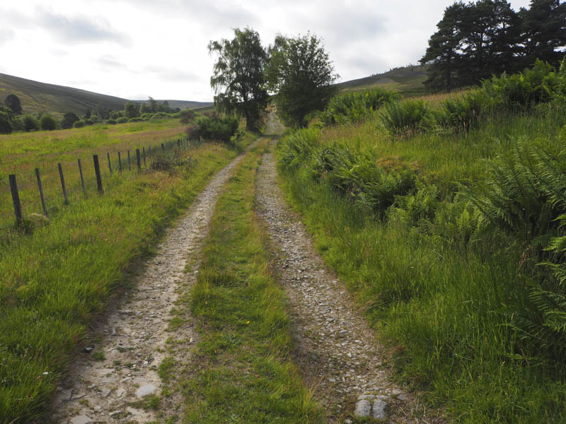 Track and Speyside Way