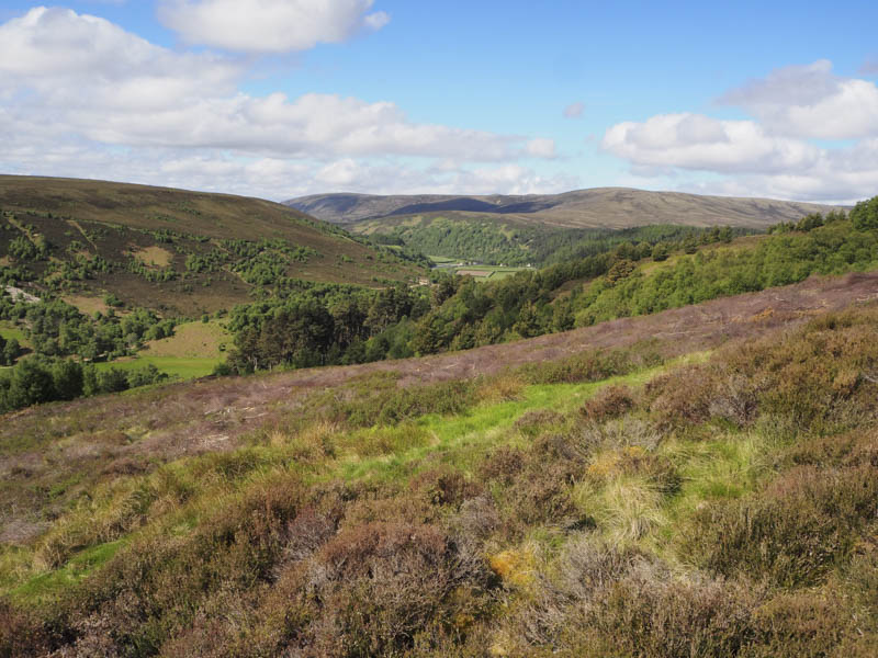 Drynachan and Carn nan Tri-tighearnan