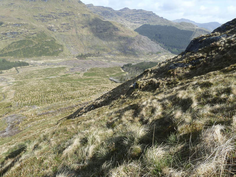 Looking back at route through forest