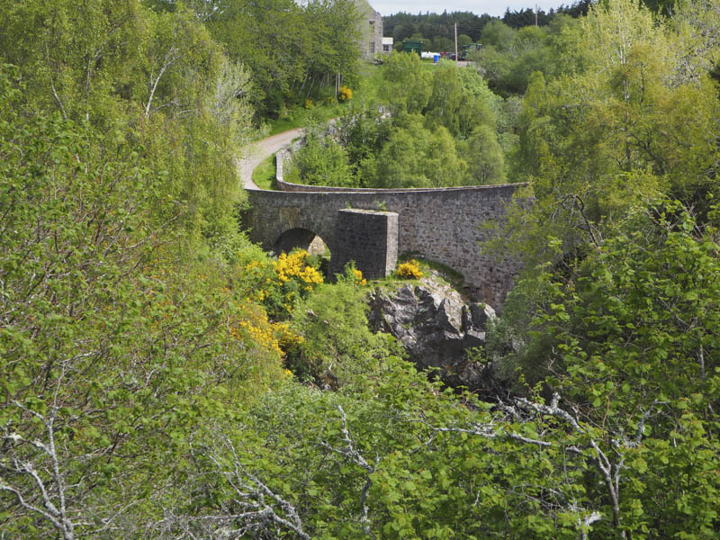 Dulsie Bridge