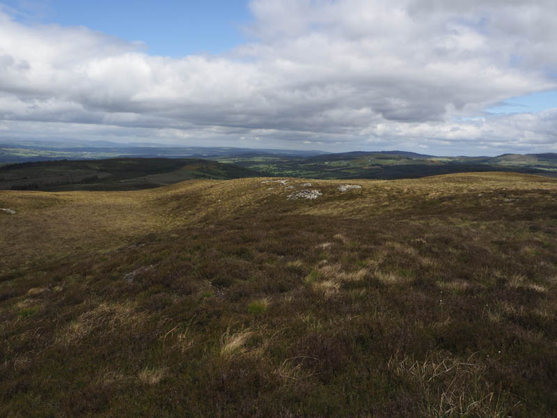 Boblainy Forest, Glen Convinth and The Aird