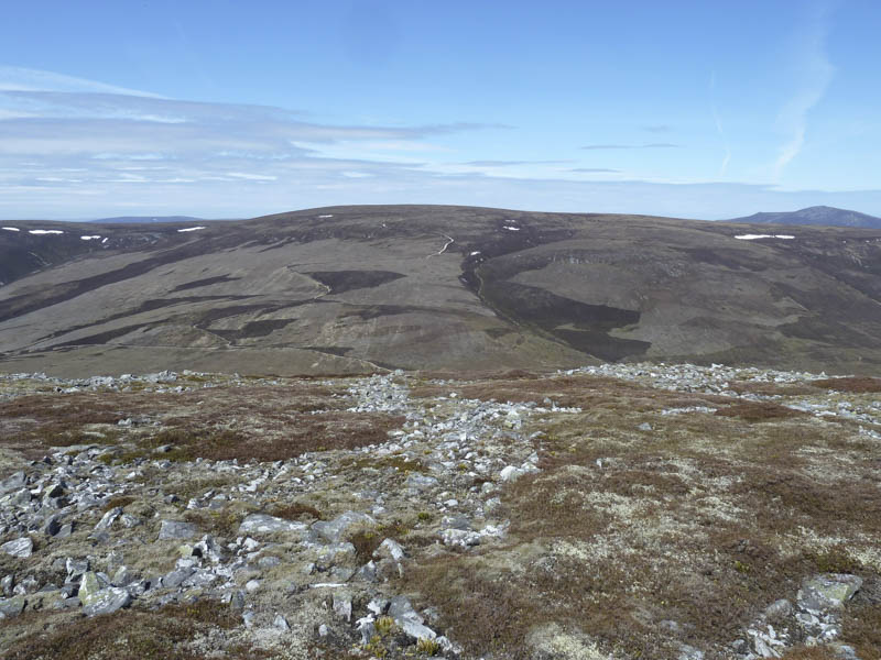 Corryhabbie Hill showing track used on ascent