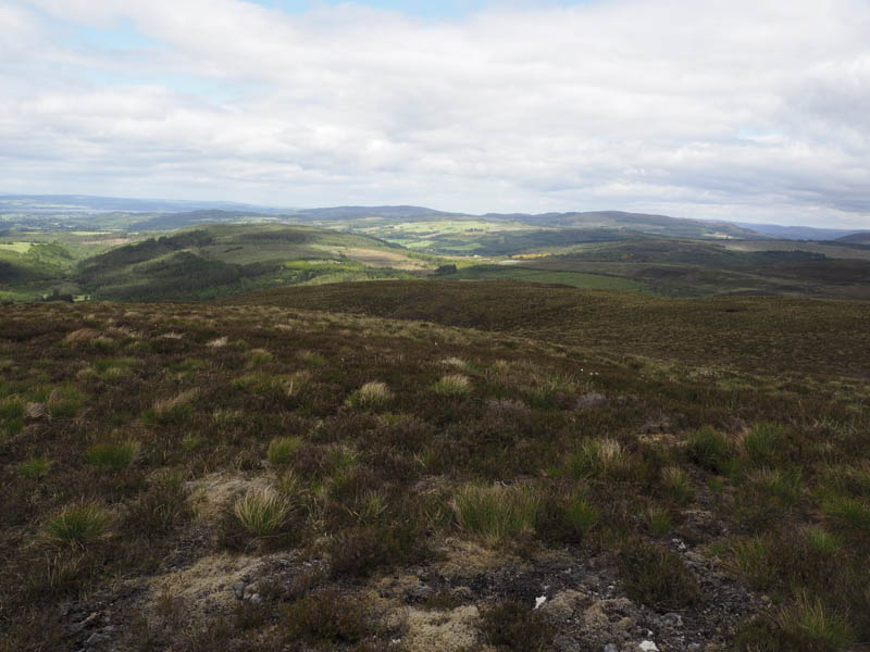 Boblainy Forest and Glen Convinth