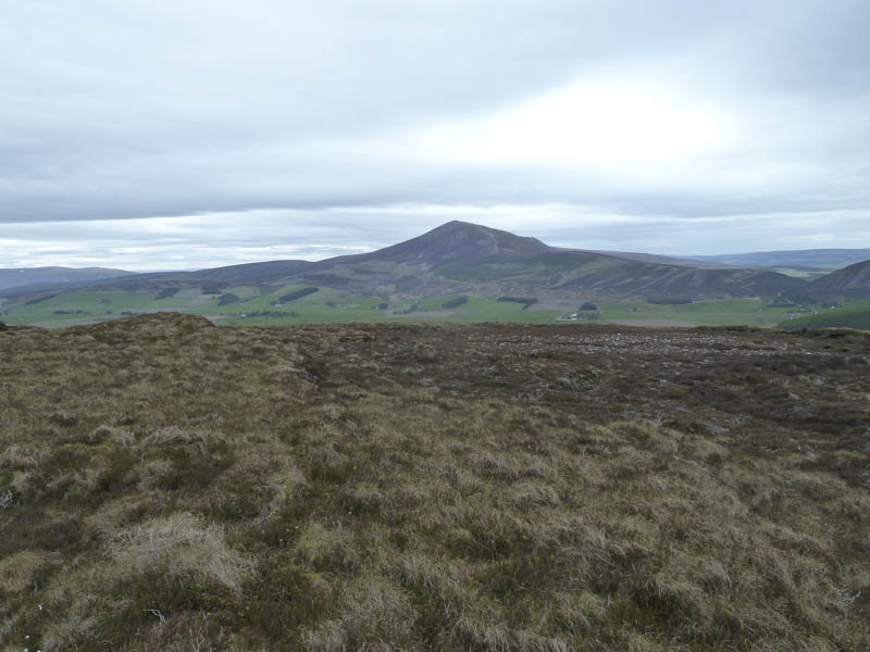 Across Glen Rinnes to Ben Rinnes