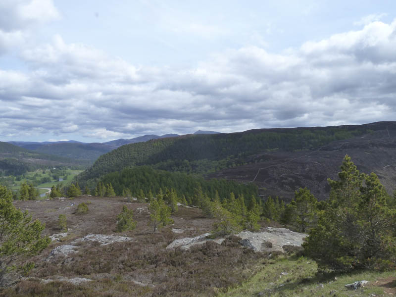 Lochnagar in the distance