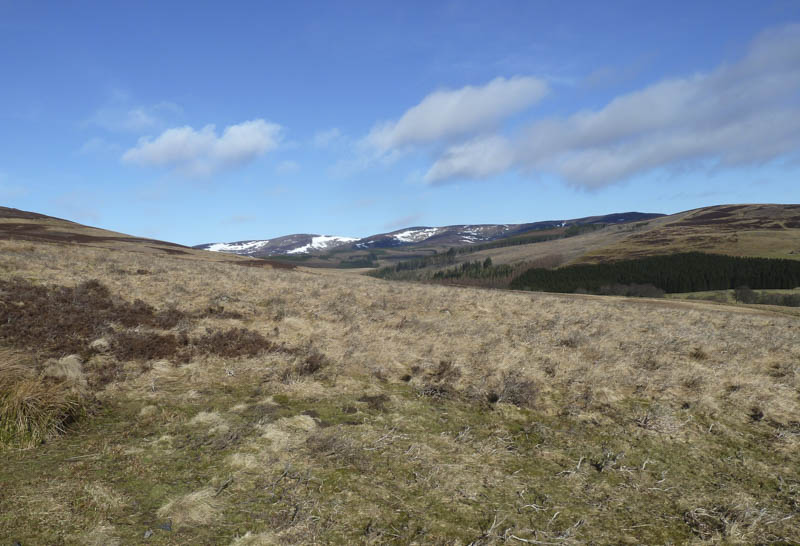 Across Glen Prosen towards Driesh