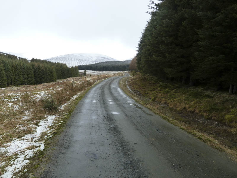 Track through forest and Hill of Strone