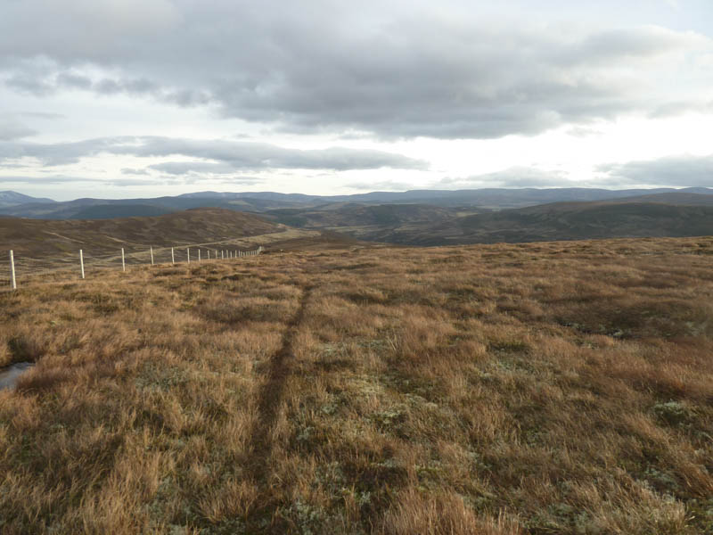 Towards Bridge of Brown