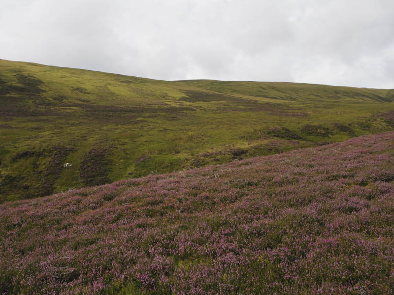 Route onto Meall Odhar